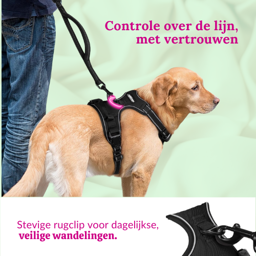 HugWalk™ Dog Harness | Elke wandeling voelt als een knuffel